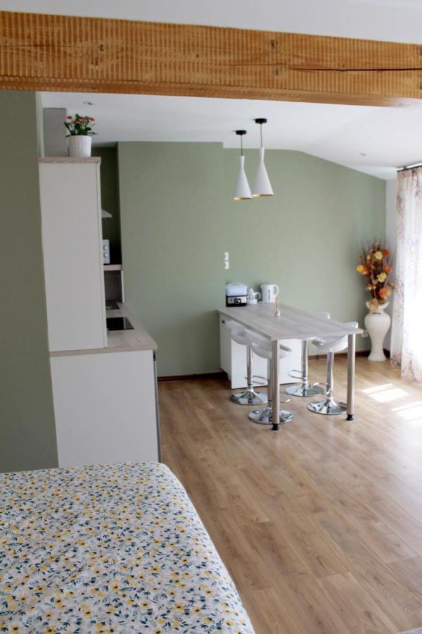 Saint Etienne : Appartement Chateaucreux 40 M2 Екстериор снимка