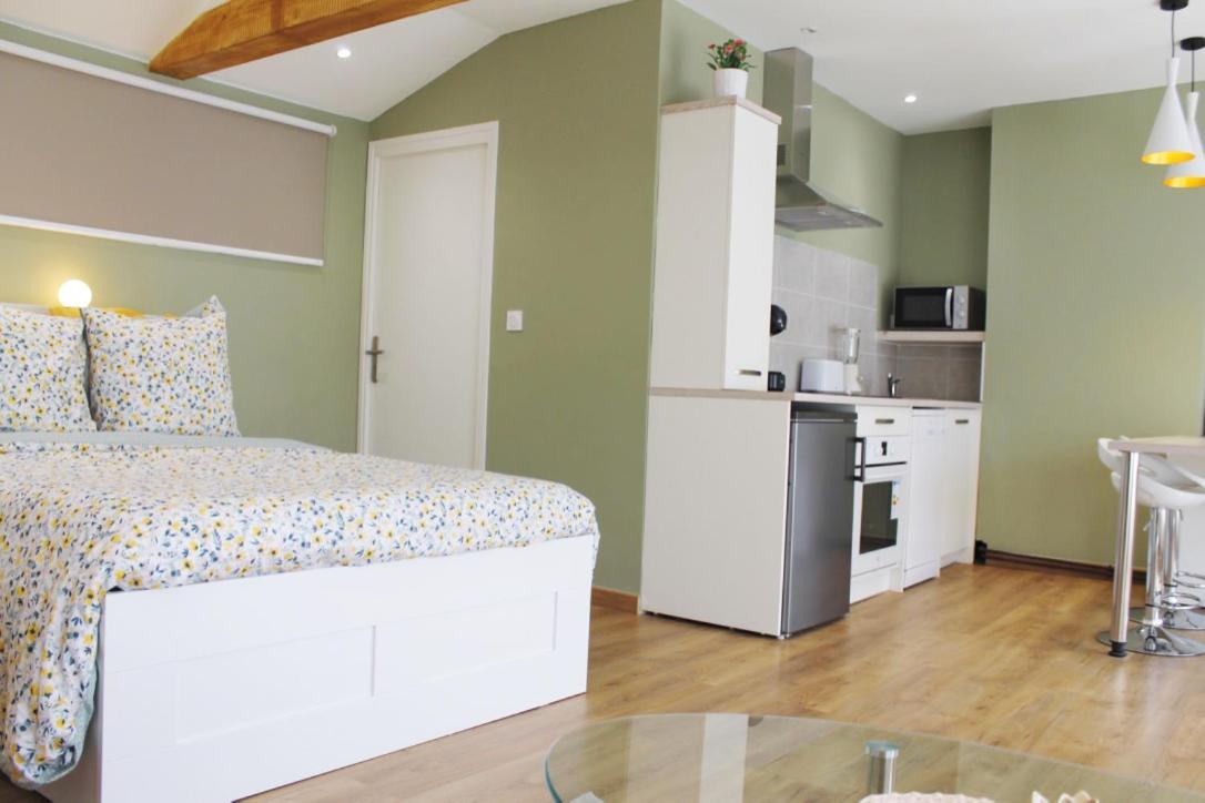 Saint Etienne : Appartement Chateaucreux 40 M2 Екстериор снимка