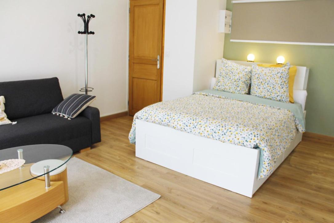 Saint Etienne : Appartement Chateaucreux 40 M2 Екстериор снимка