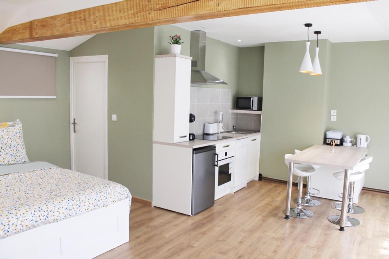 Saint Etienne : Appartement Chateaucreux 40 M2 Екстериор снимка