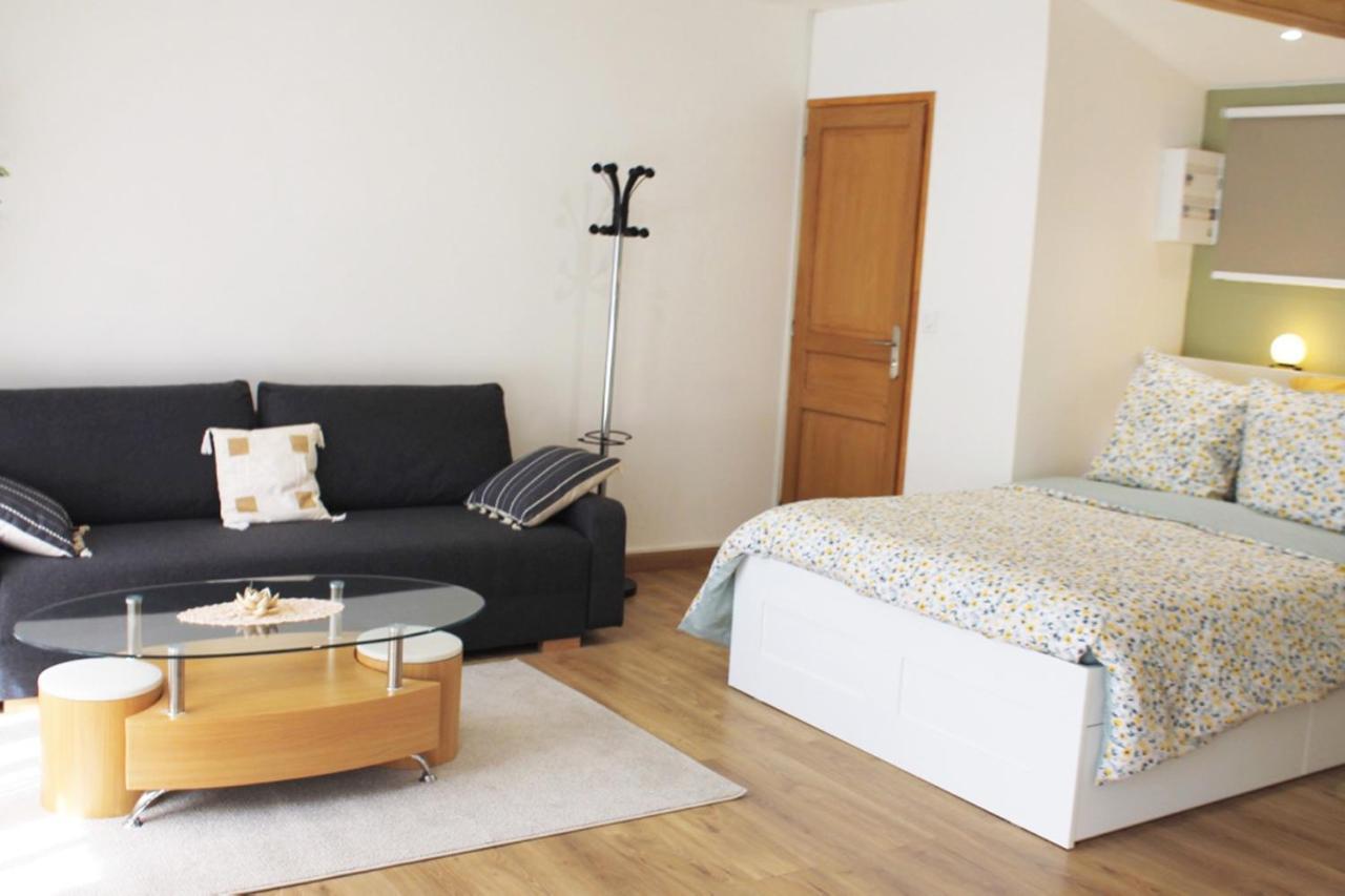 Saint Etienne : Appartement Chateaucreux 40 M2 Екстериор снимка