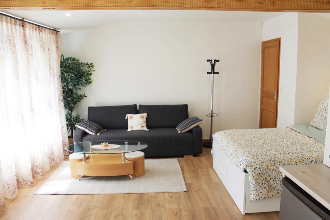 Saint Etienne : Appartement Chateaucreux 40 M2 Екстериор снимка