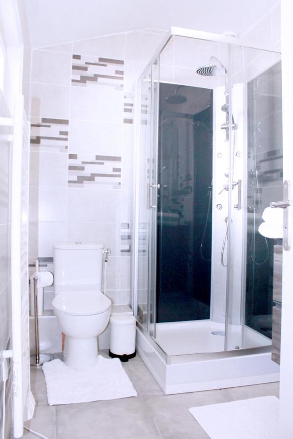 Saint Etienne : Appartement Chateaucreux 40 M2 Екстериор снимка